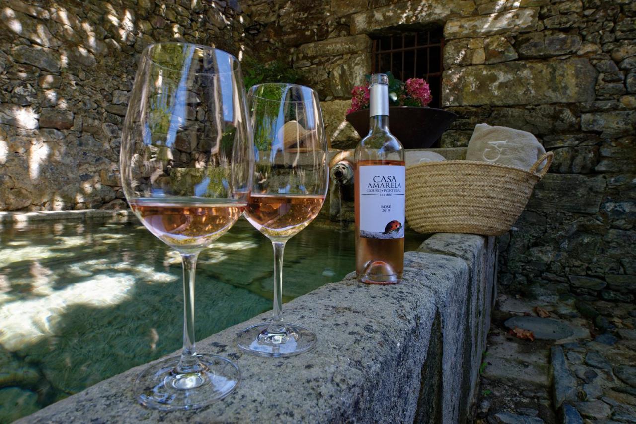 Quinta Da Casa Amarela- Casas Da Quinta - Turismo Em Espaco Rural Lamego Exterior foto